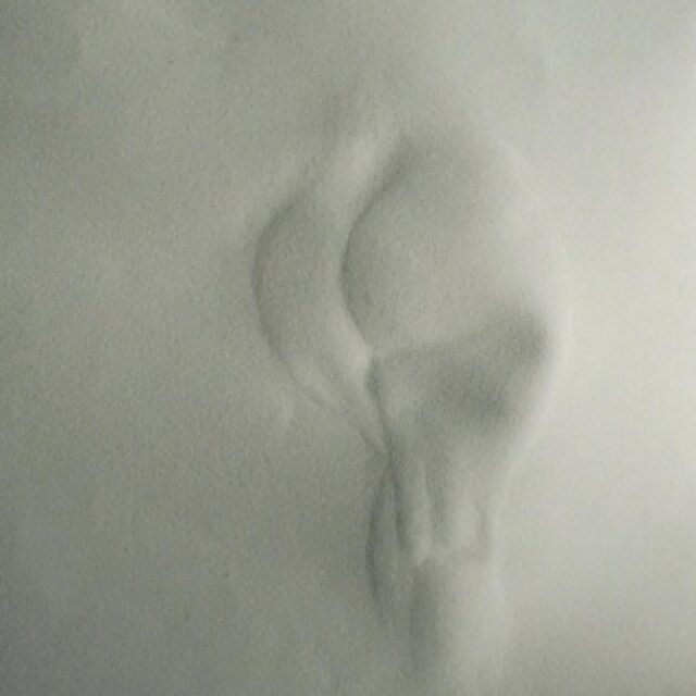 Recuerda quién eres, celebra tu cuerpo y conéctate con tu raíz, tu ser es la combinación de tus ancestros, no tienes porque avergonzarte de lo que se te fue dado, estar viva es un regalo ✨