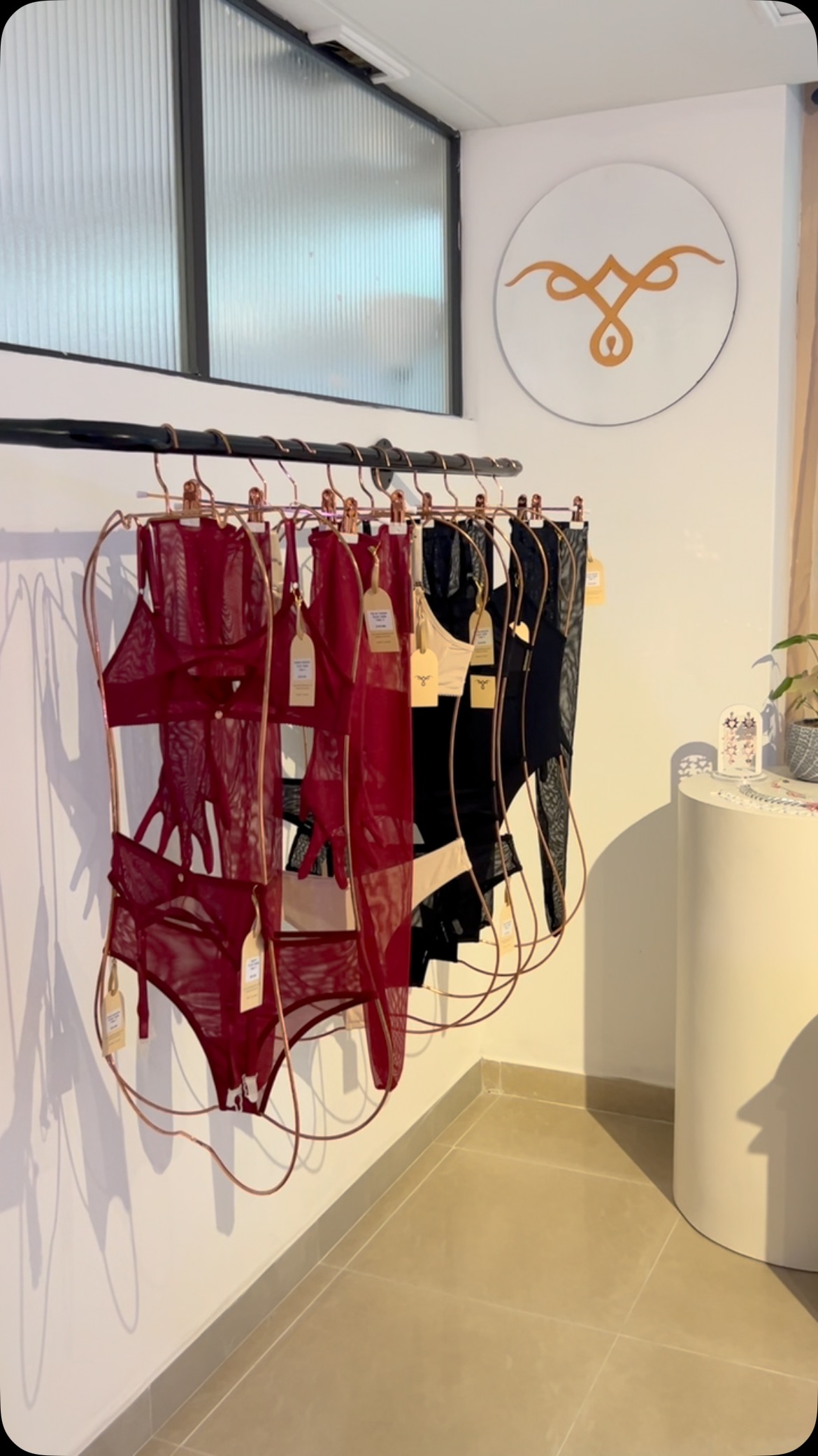 Bienvenidas a @casapradera_ ♥️ ¡Nuestro hogar en el corazón de Laureles! Encuentra