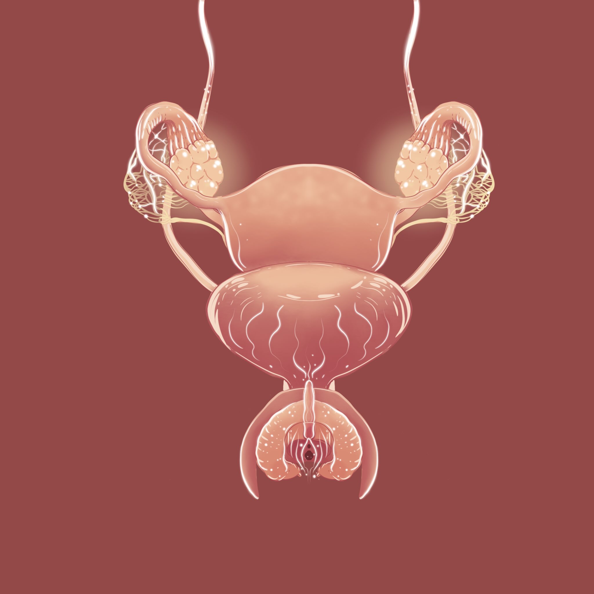 Nuestra anatomía sexual femenina, no divida, no por partes, no por separado